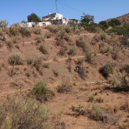 Finca La Pimienta Писара Екстериор снимка