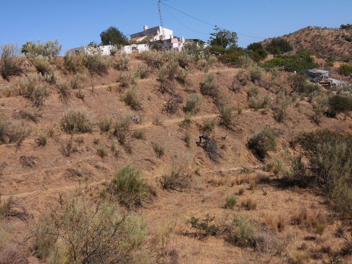 Finca La Pimienta Писара Екстериор снимка